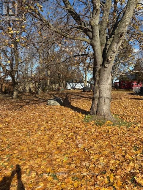 283 Ridout Street, West Elgin, Ontario N0L 2C0 - Photo 3 - X12546312