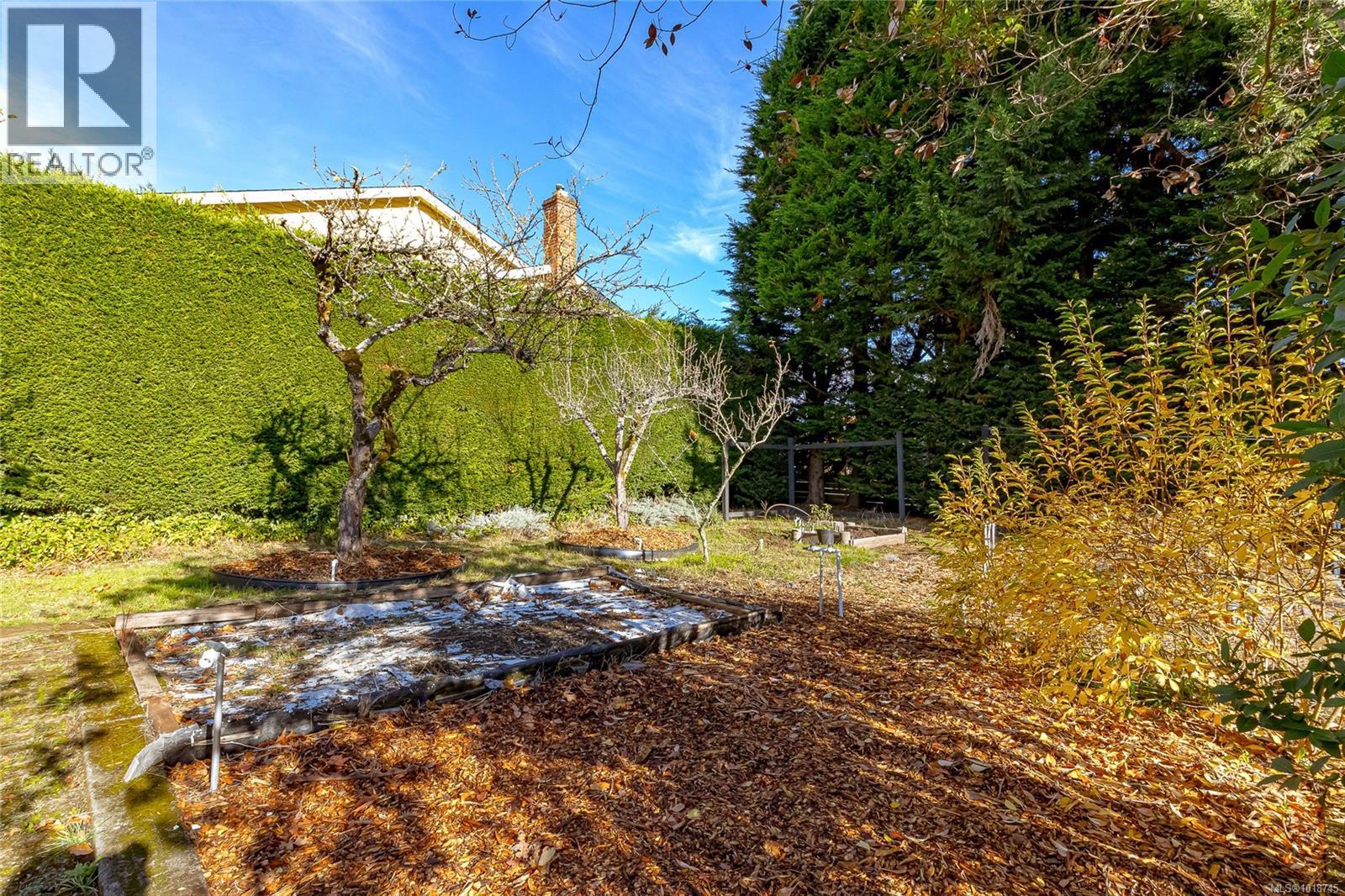 870 Beckwith Ave, Saanich, British Columbia  V8X 3S4 - Photo 37 - 1018745