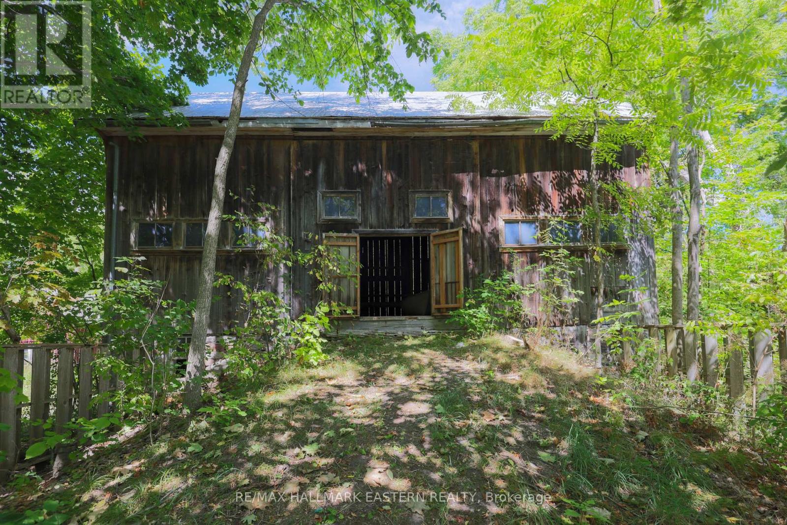 4372 County Road 29, Douro-Dummer, Ontario K0L 2H0 - Photo 3 - X12546334