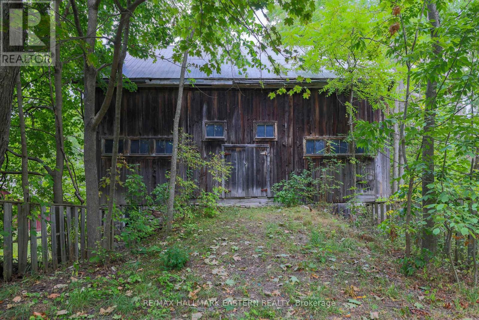 4372 County Road 29, Douro-Dummer, Ontario K0L 2H0 - Photo 31 - X12546334