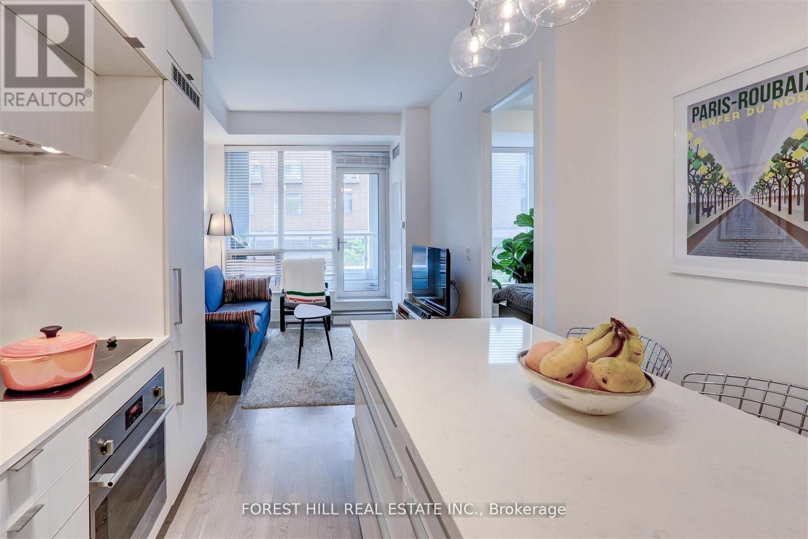 213 - 38 Cameron Street, Toronto, Ontario  M5T 0C3 - Photo 10 - C12546362