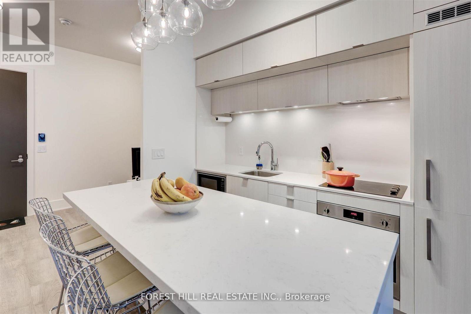 213 - 38 Cameron Street, Toronto, Ontario  M5T 0C3 - Photo 6 - C12546362