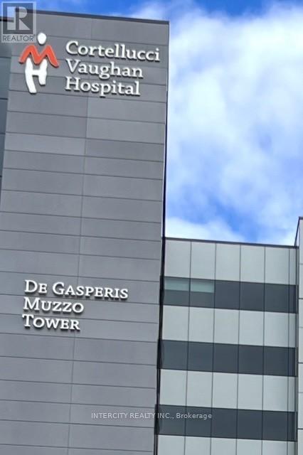 Lower - 81 Vedette Way, Vaughan, Ontario  L4H 4K3 - Photo 18 - N12546224