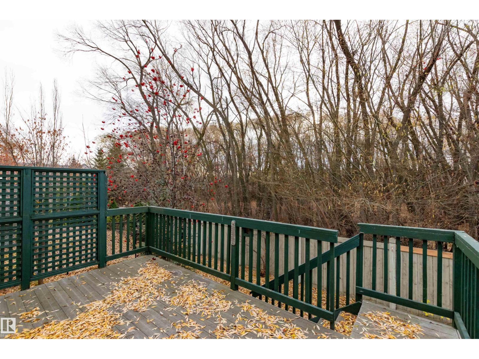 33 Eldorado Dr, St. Albert, Alberta  T8N 7G4 - Photo 32 - E4465768