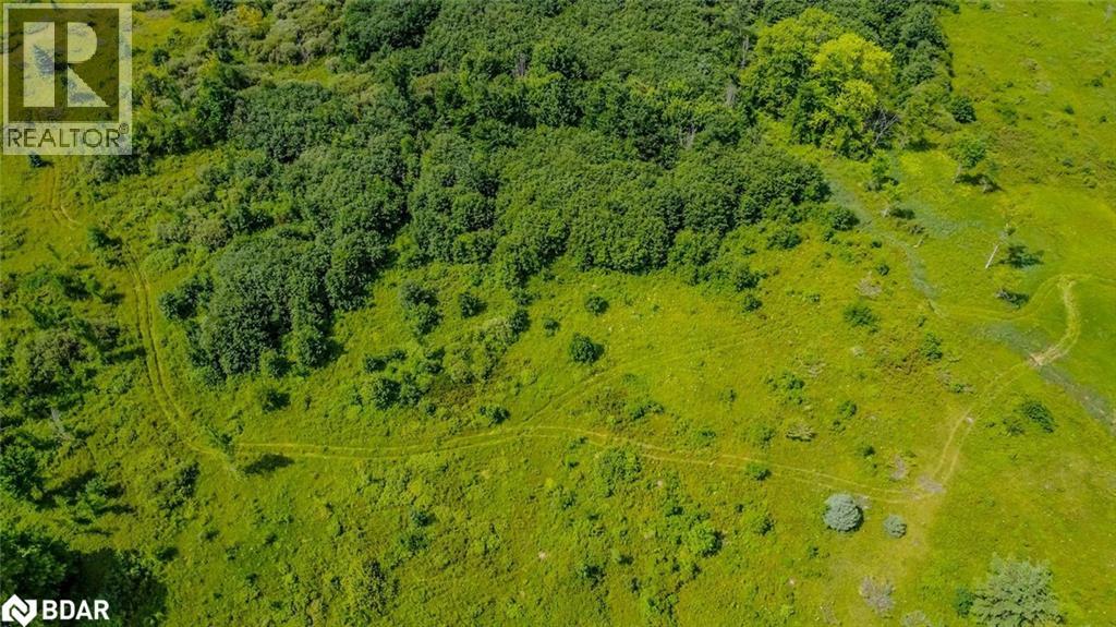 Lot 5 Concession 5, Carden, Ontario  K0M 2B0 - Photo 3 - 40788413