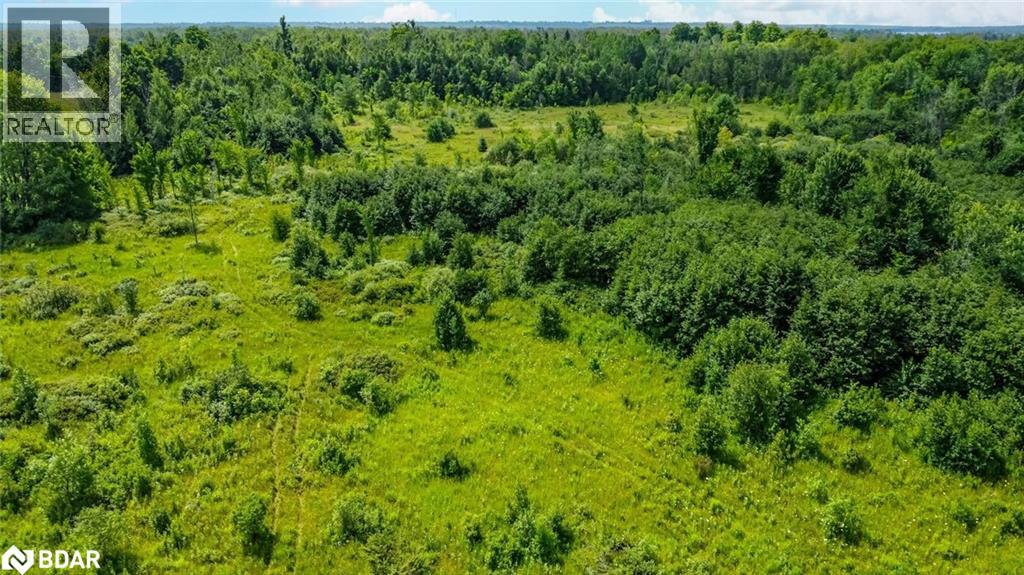 Lot 5 Concession 5, Carden, Ontario  K0M 2B0 - Photo 4 - 40788413