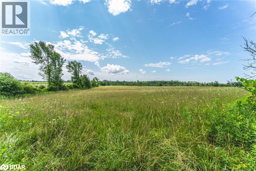 Lot 5 Concession 5, Carden, Ontario  K0M 2B0 - Photo 7 - 40788413