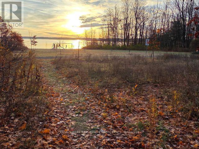 465 Parkview Court, Midland, Ontario  L4R 5G3 - Photo 33 - S12541652