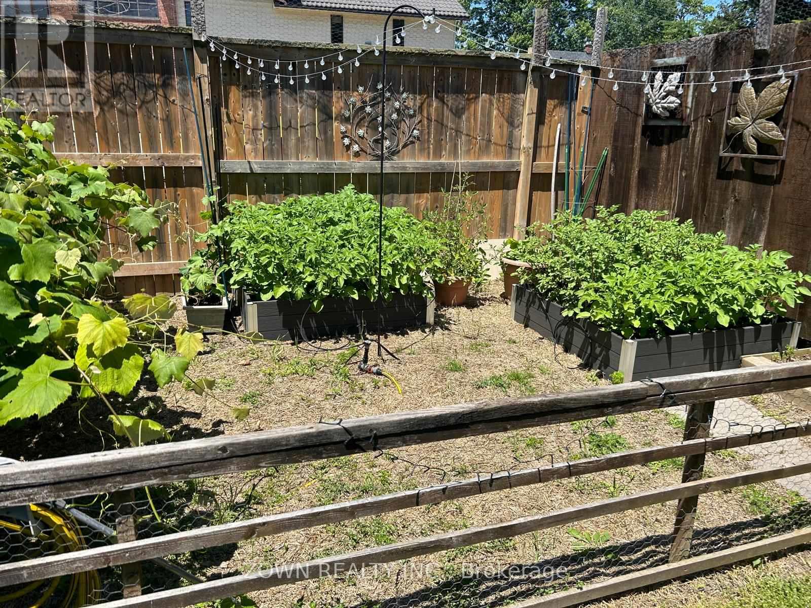 68 Victoria Street, Chatham-Kent, Ontario  N0P 2K0 - Photo 34 - X12546488