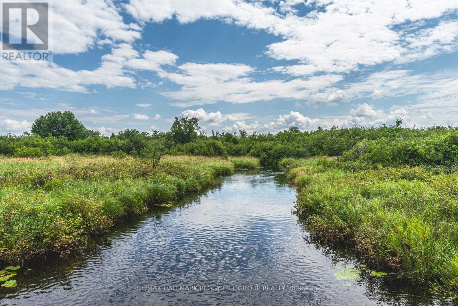Lot 5 Concession 5, Kawartha Lakes, Ontario  K0M 2B0 - Photo 6 - X12546516