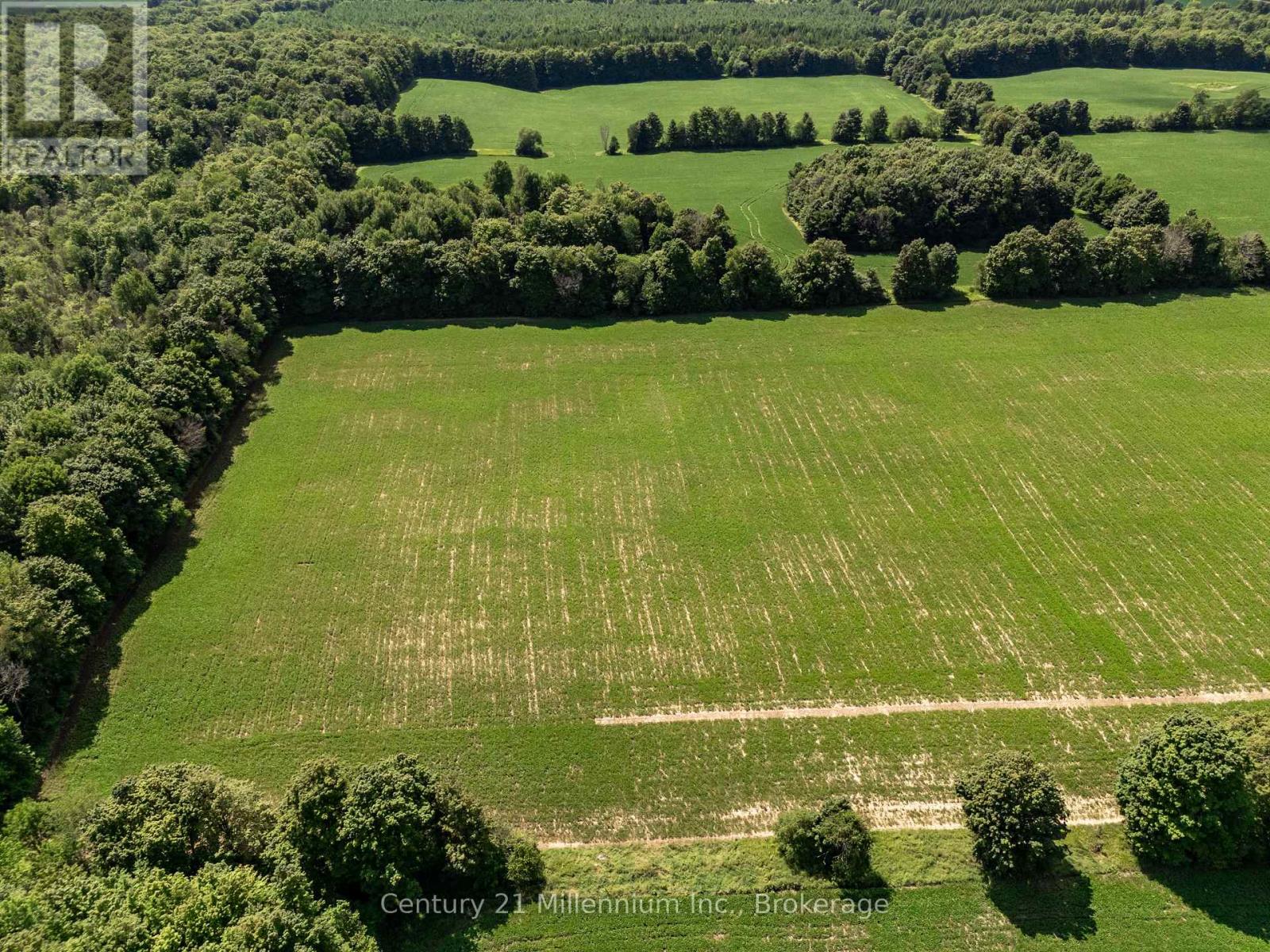 425158 Irish Lake Road, Grey Highlands, Ontario N0C 1H0 - Photo 26 - X12544534