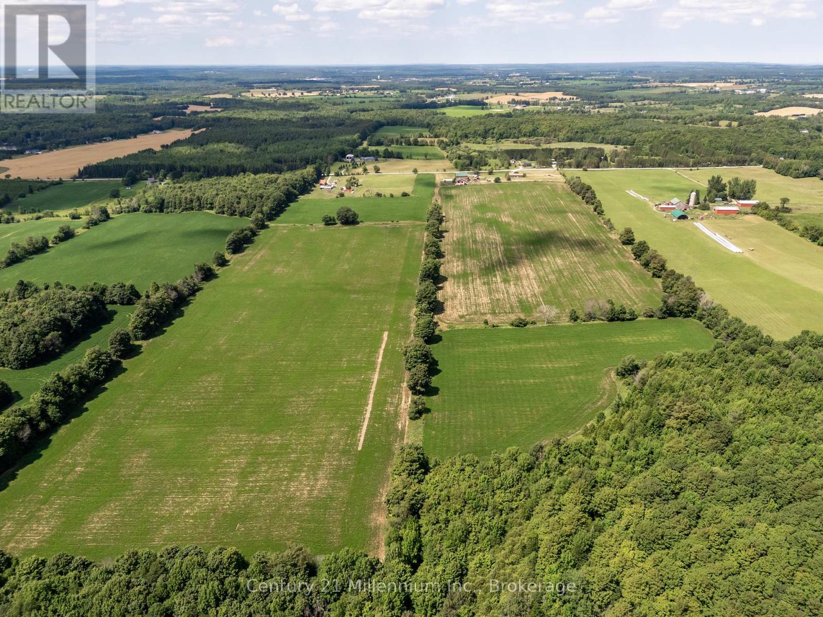 425158 Irish Lake Road, Grey Highlands, Ontario N0C 1H0 - Photo 29 - X12544534