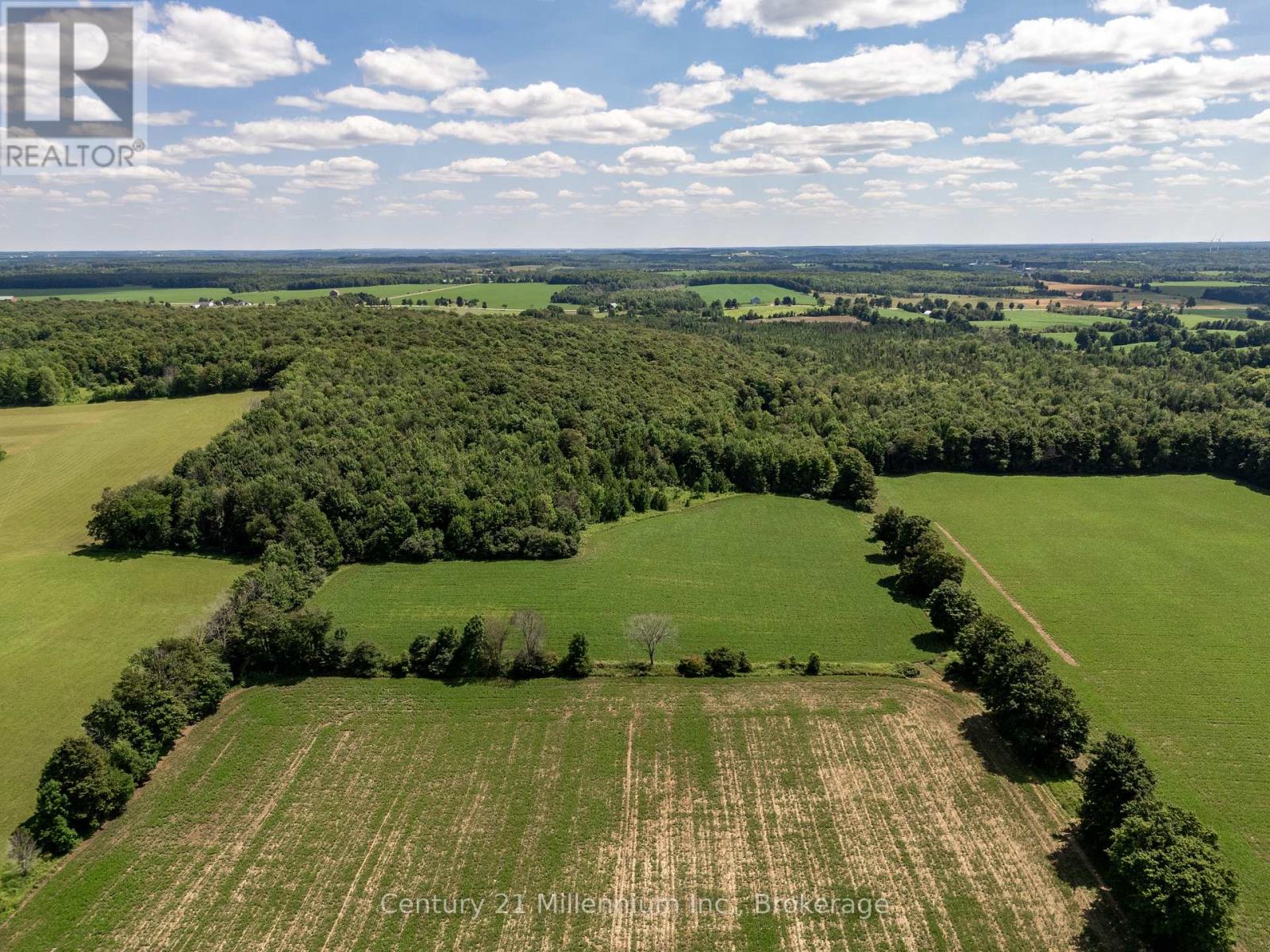 425158 Irish Lake Road, Grey Highlands, Ontario N0C 1H0 - Photo 38 - X12544534