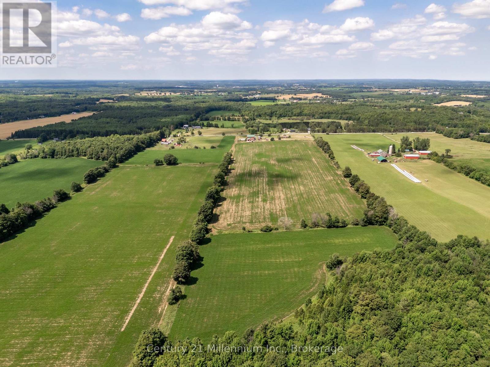 425158 Irish Lake Road, Grey Highlands, Ontario N0C 1H0 - Photo 46 - X12544534