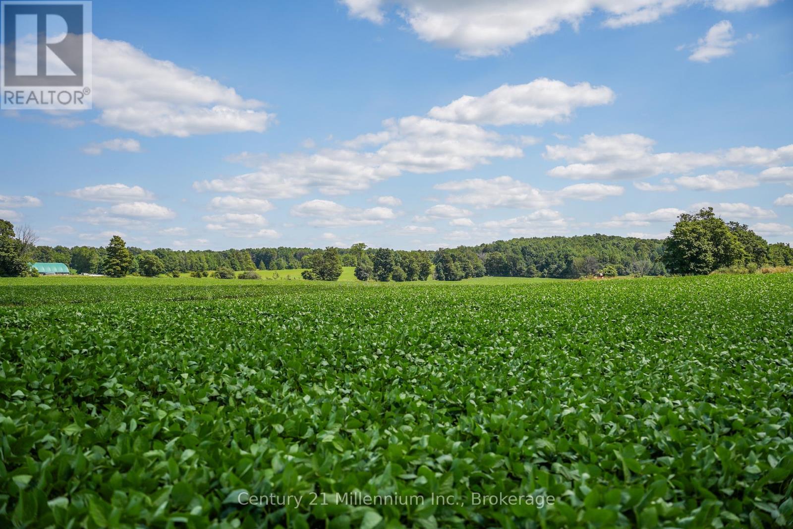 425158 Irish Lake Road, Grey Highlands, Ontario N0C 1H0 - Photo 48 - X12544534