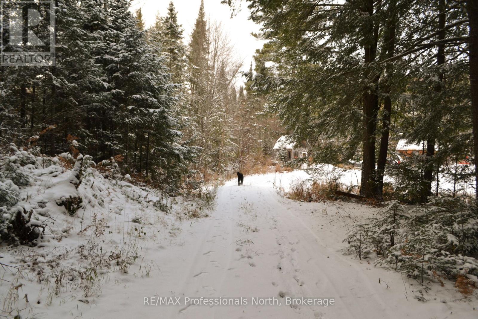 2315 Aspdin Road, Huntsville, Ontario  P0B 1M0 - Photo 32 - X12535840