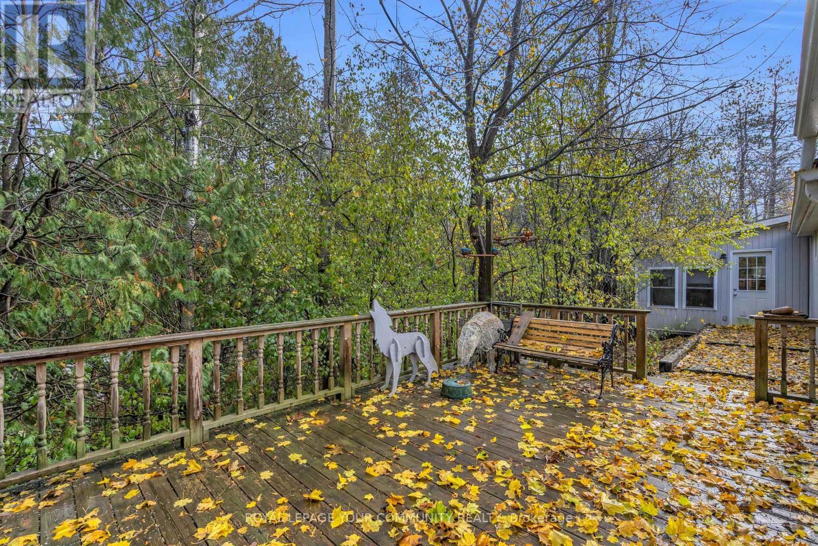 696 Catering Road S, Georgina, Ontario  L0E 1R0 - Photo 31 - N12546792