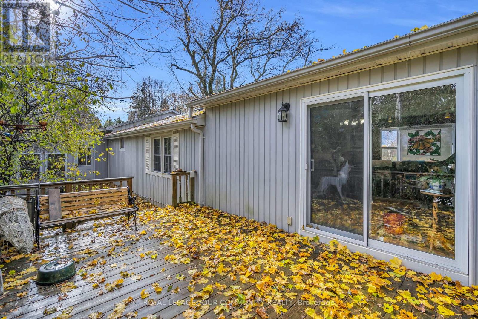 696 Catering Road S, Georgina, Ontario  L0E 1R0 - Photo 32 - N12546792