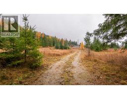 14448 3A Highway, gray creek, British Columbia