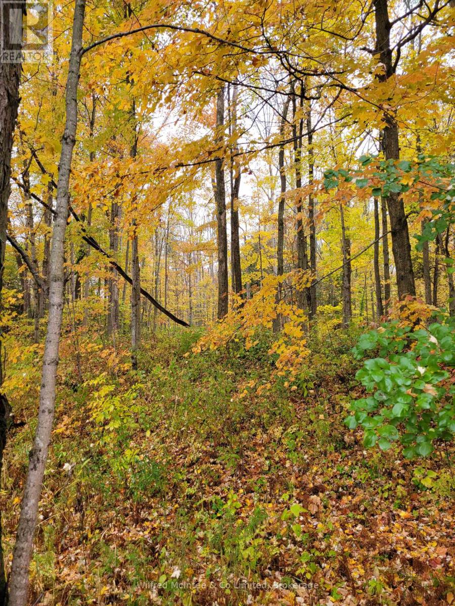 Lot 37 Con 2 Ndr, West Grey, Ontario  N4N 3B9 - Photo 14 - X12546860