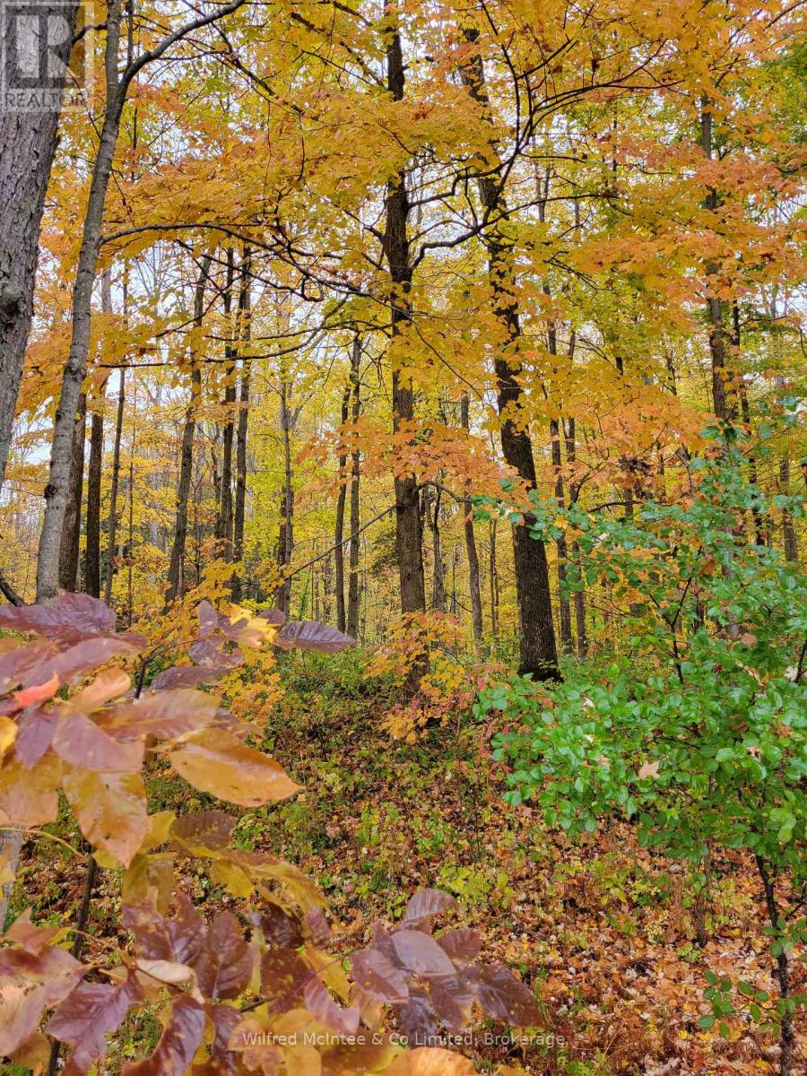 Lot 37 Con 2 Ndr, West Grey, Ontario  N4N 3B9 - Photo 15 - X12546860