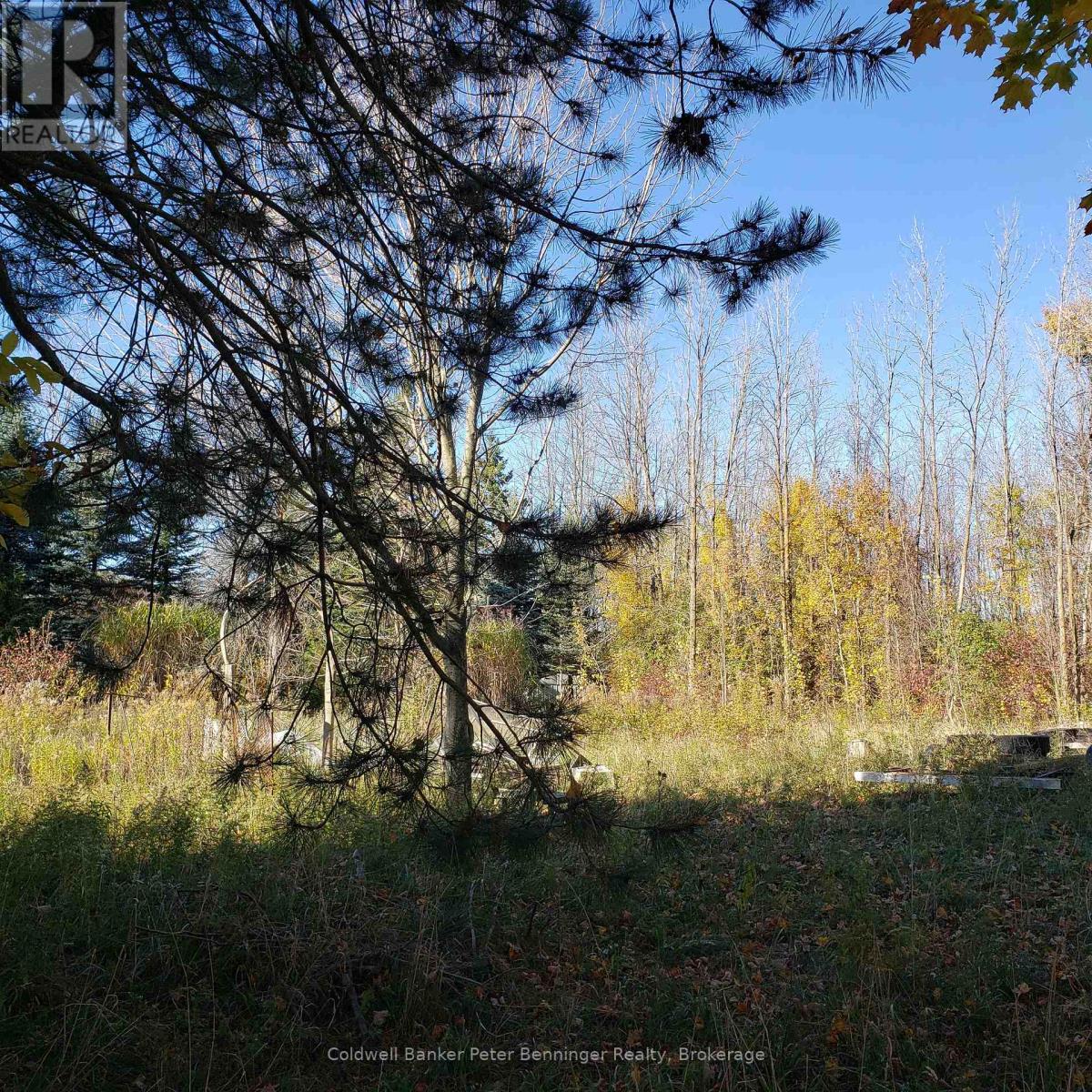 3048 Bruce Rd 86, Huron-Kinloss, Ontario N2Z 2X3 - Photo 13 - X12546934