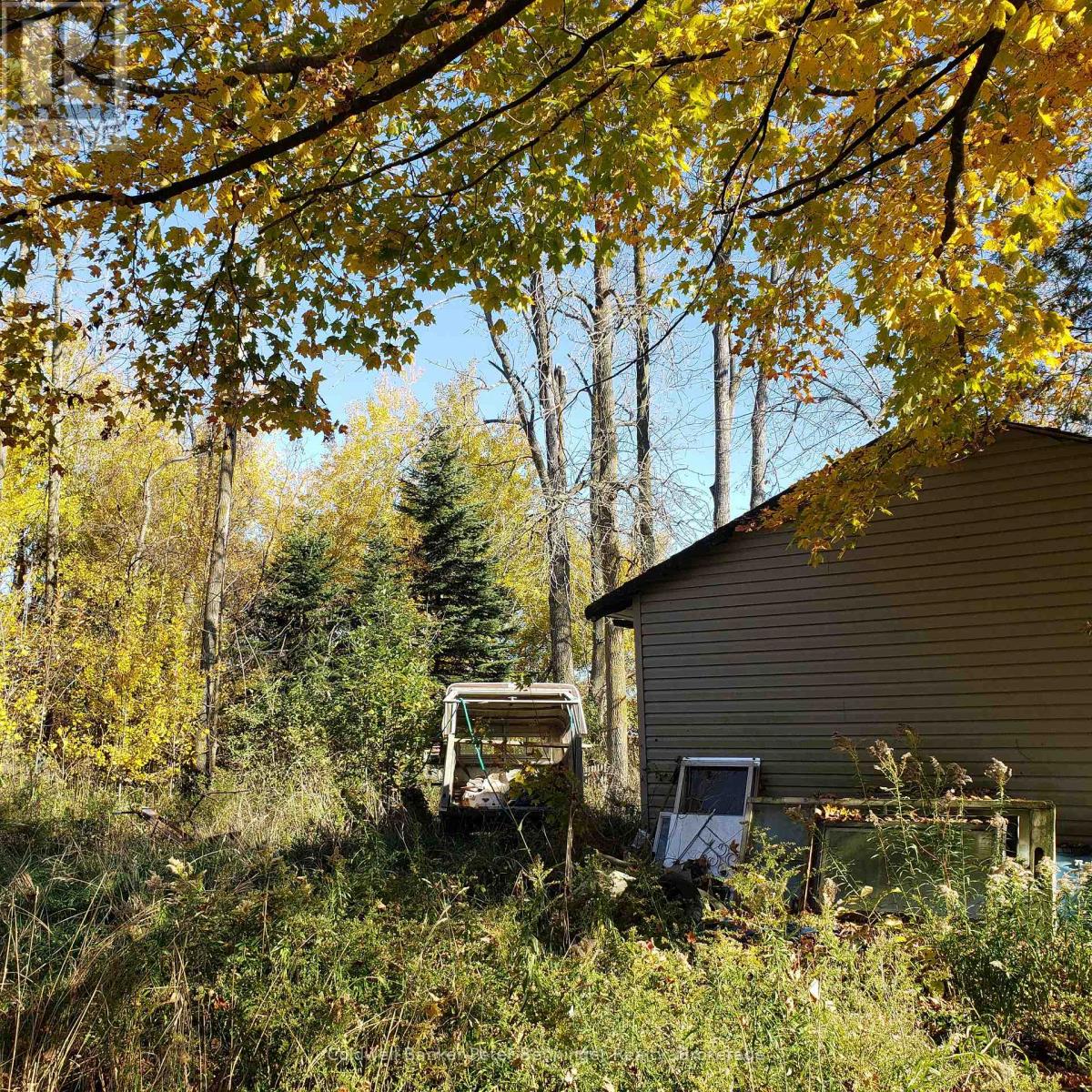 3048 Bruce Rd 86, Huron-Kinloss, Ontario N2Z 2X3 - Photo 14 - X12546934