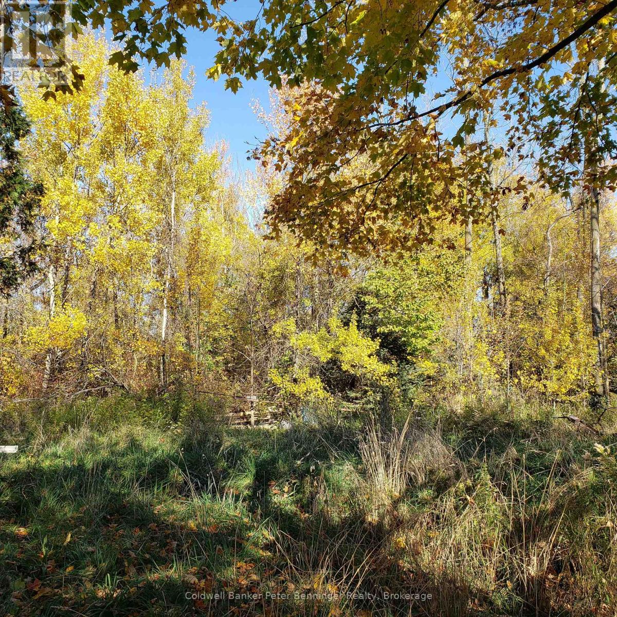 3048 Bruce Rd 86, Huron-Kinloss, Ontario N2Z 2X3 - Photo 15 - X12546934