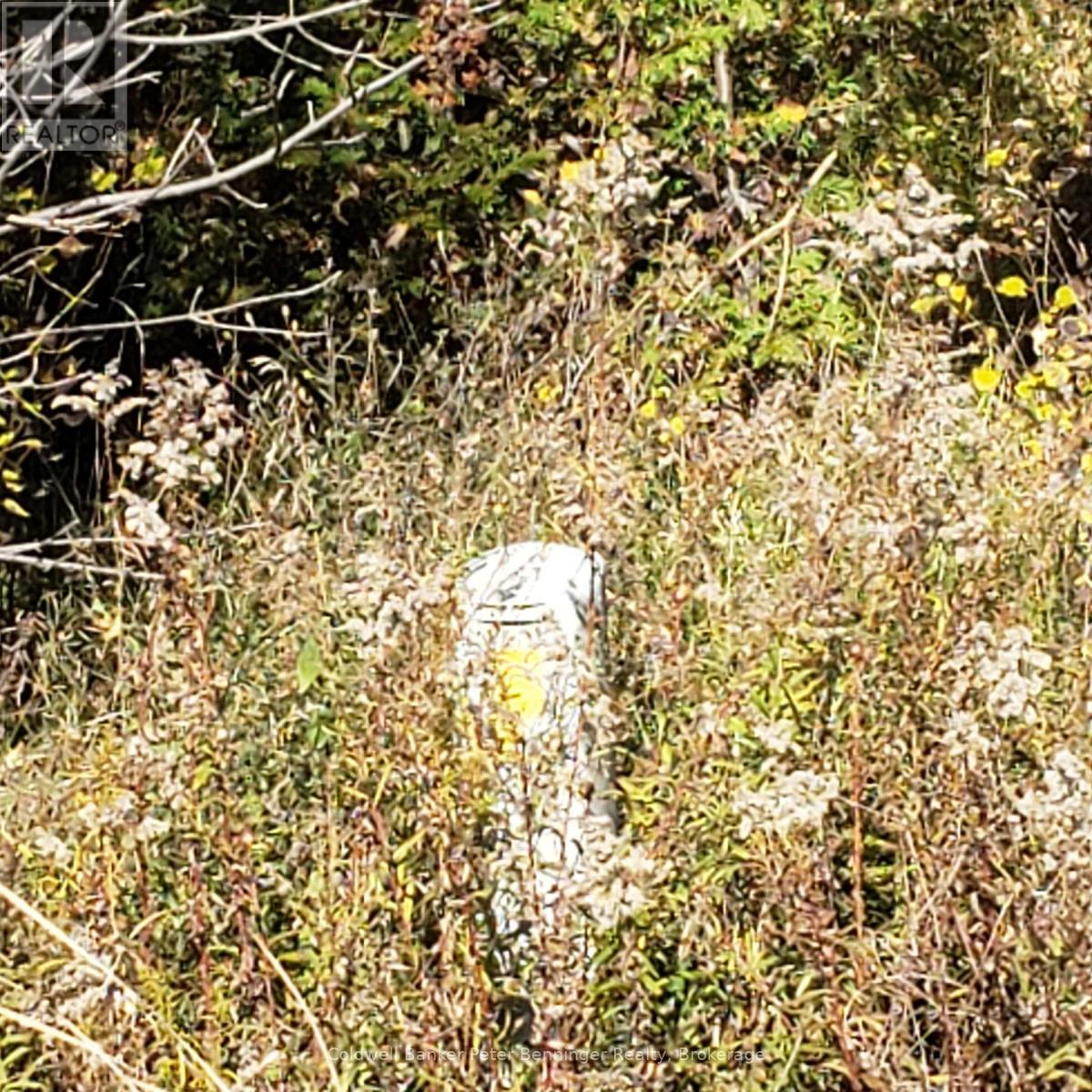 3048 Bruce Rd 86, Huron-Kinloss, Ontario N2Z 2X3 - Photo 18 - X12546934