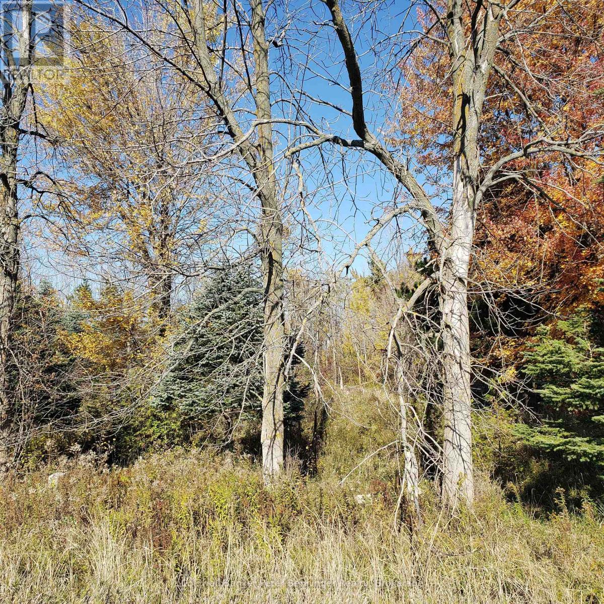 3048 Bruce Rd 86, Huron-Kinloss, Ontario N2Z 2X3 - Photo 19 - X12546934