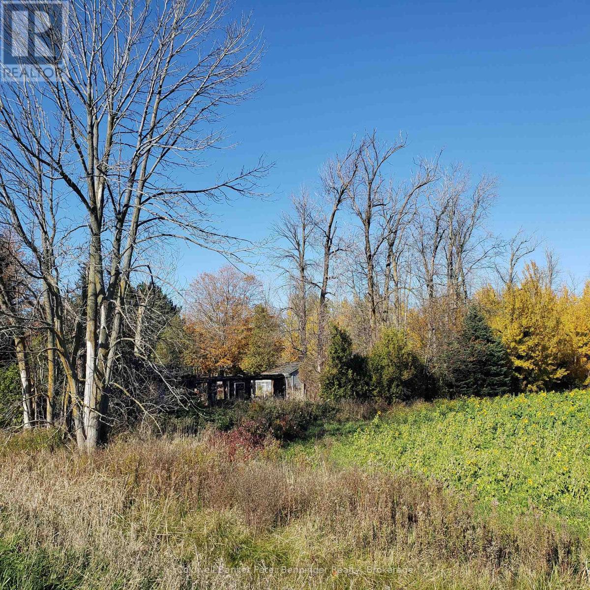 Secondary picture of 3048 BRUCE RD 86