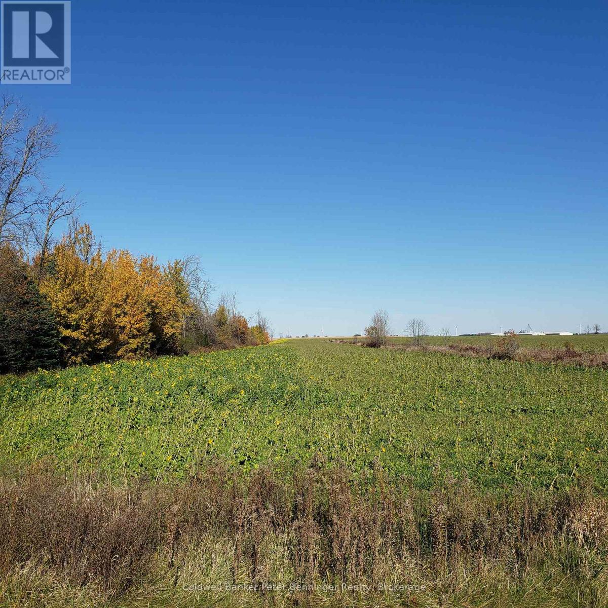 Third picture of 3048 BRUCE RD 86