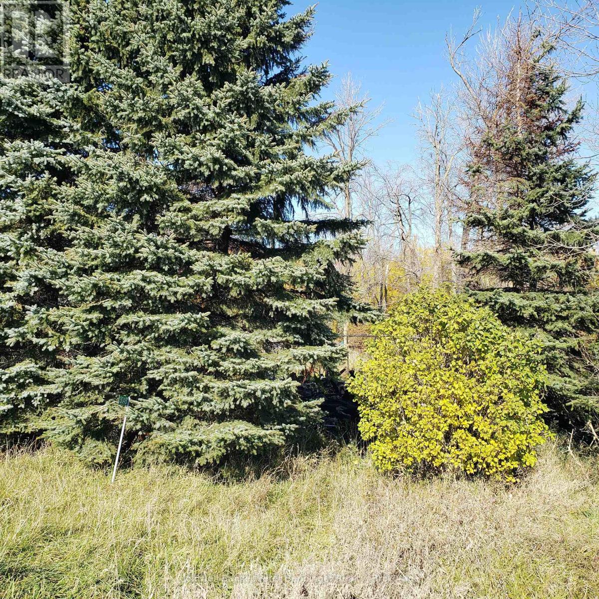 3048 Bruce Rd 86, Huron-Kinloss, Ontario N2Z 2X3 - Photo 4 - X12546934