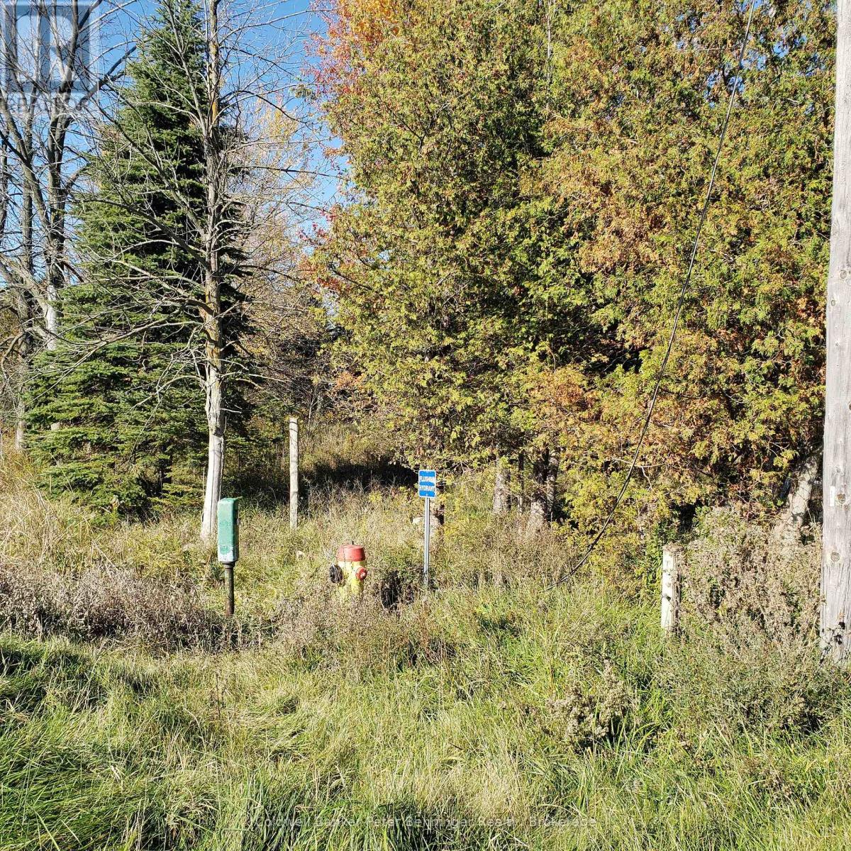 3048 Bruce Rd 86, Huron-Kinloss, Ontario N2Z 2X3 - Photo 5 - X12546934