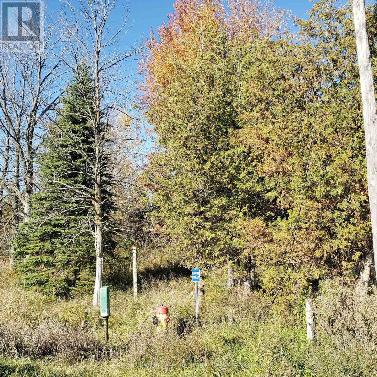 3048 Bruce Rd 86, Huron-Kinloss, Ontario N2Z 2X3 - Photo 6 - X12546934