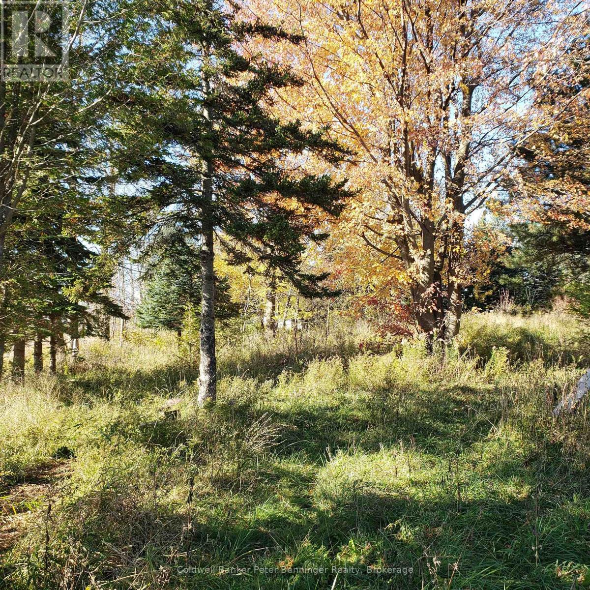 3048 Bruce Rd 86, Huron-Kinloss, Ontario N2Z 2X3 - Photo 9 - X12546934