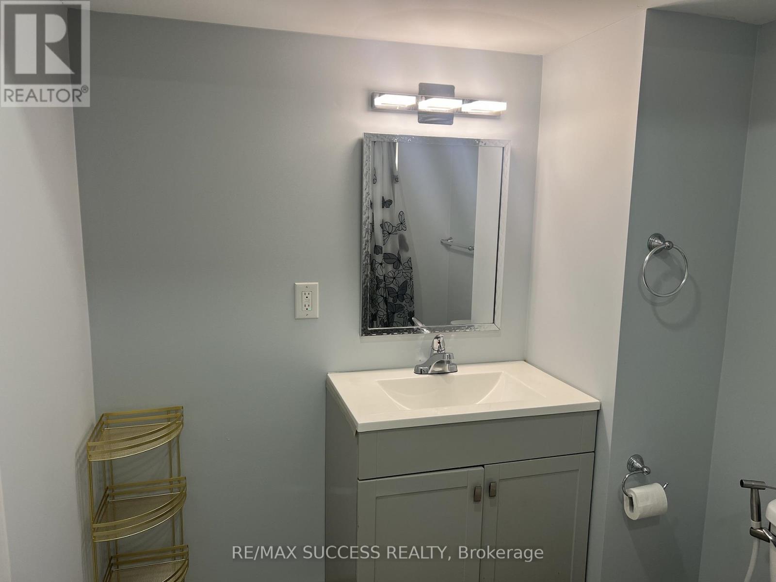 Basement - 65 Olivia Marie Road, Brampton, Ontario  L6Y 0M4 - Photo 19 - W12547086