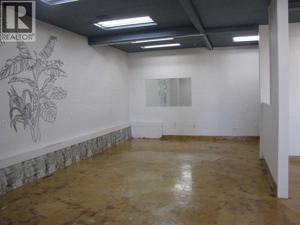 4303 And 4301 49 Street, Innisfail, Alberta  T4G 1S6 - Photo 16 - A2257752