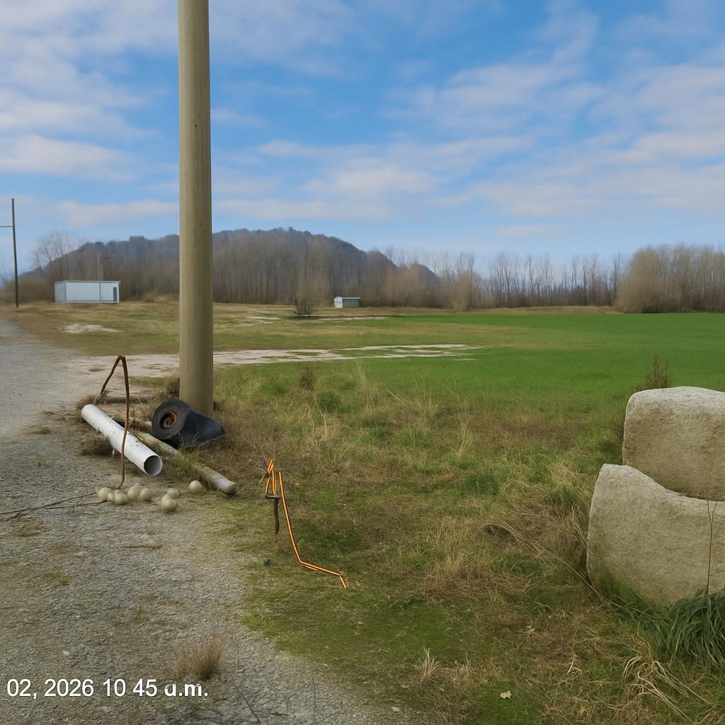 41320 Nicomen Island Trunk Road, Mission, British Columbia  V0M 1G0 - Photo 3 - R3067062