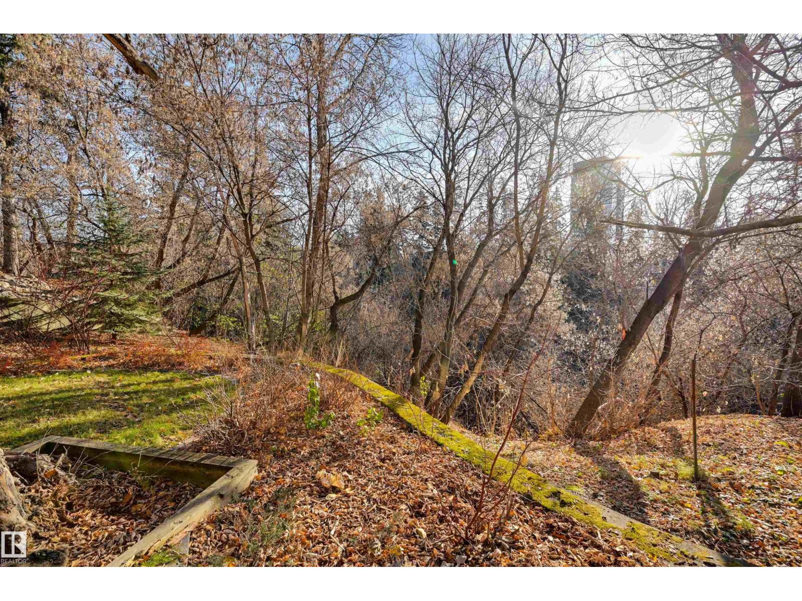 10317 Villa Av Nw, Edmonton, Alberta  T5N 3T8 - Photo 70 - E4465797