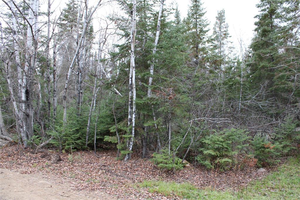 22 Eastshore Drive, Victoria Beach, Manitoba  R0E 2C0 - Photo 2 - 202528520