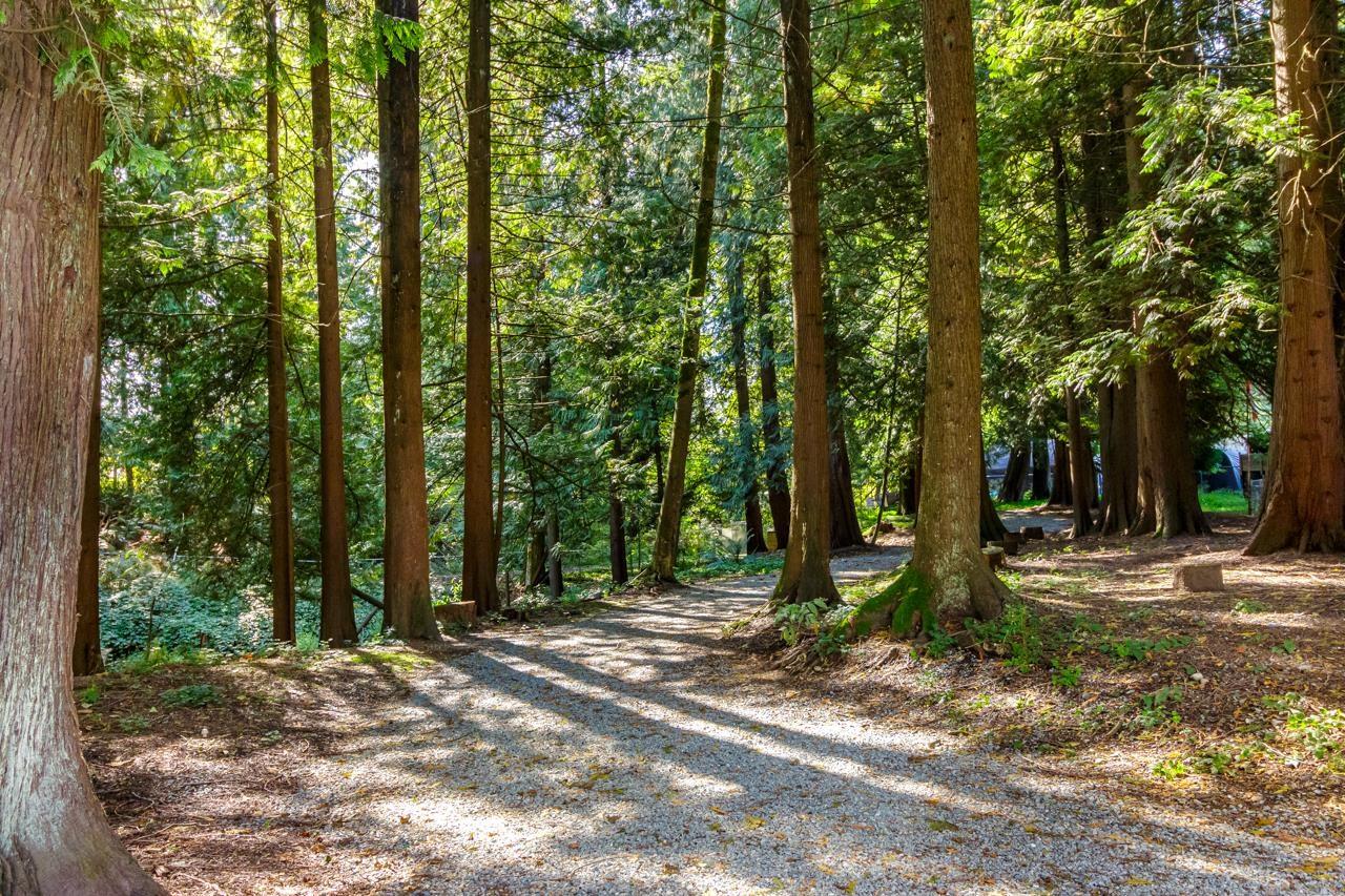 56 9080 198 Street, Langley, British Columbia  V1M 3A8 - Photo 26 - R3067514