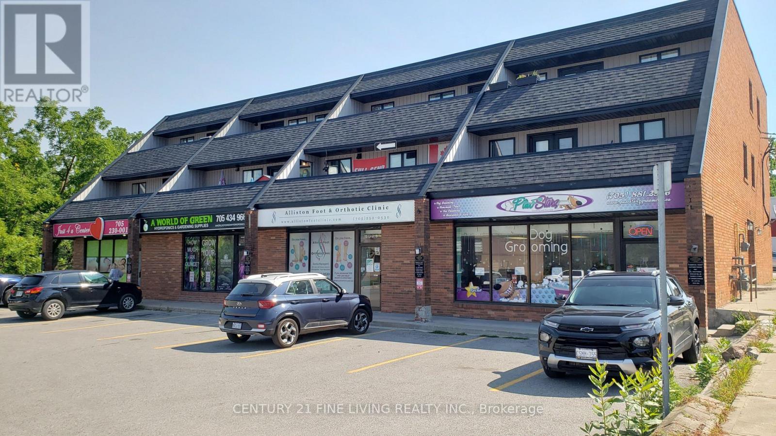 1 - 19 CHURCH STREET N, New Tecumseth, Ontario