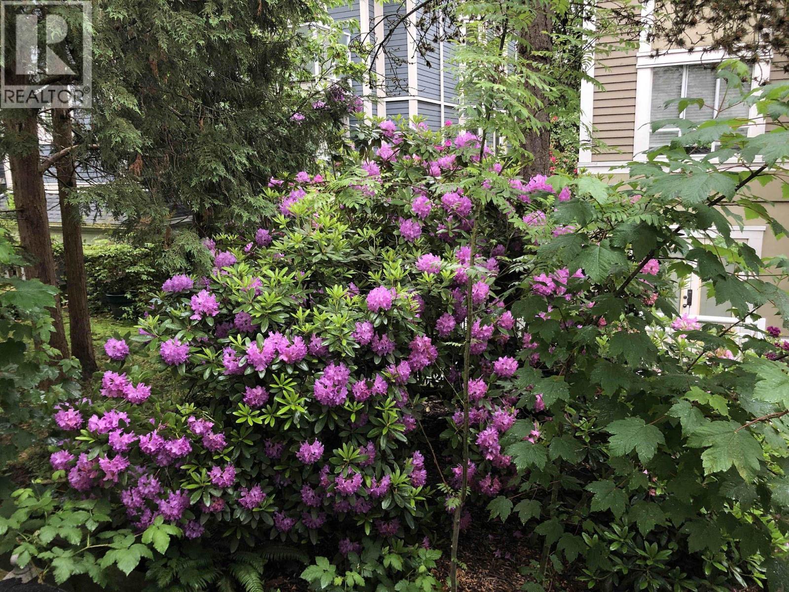 204 735 W 15th Avenue, Vancouver, British Columbia  V5Z 1R6 - Photo 11 - R3067631