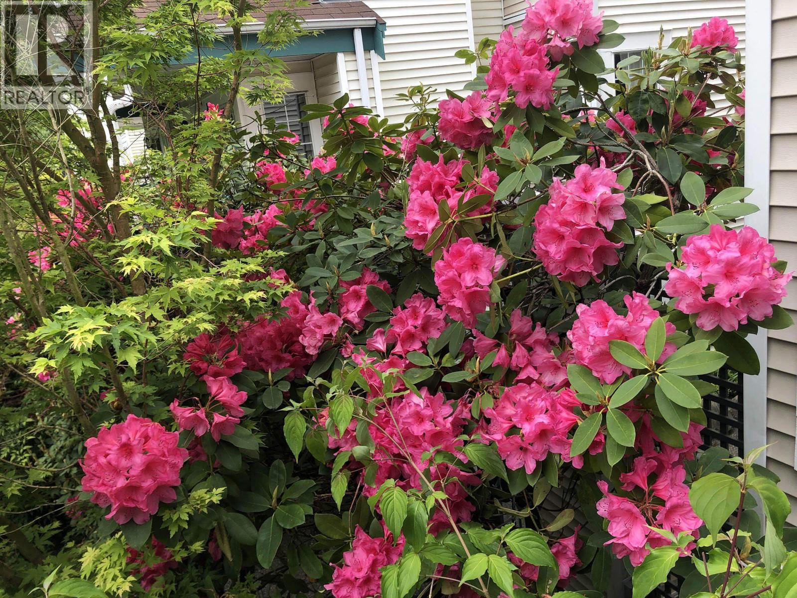 204 735 W 15th Avenue, Vancouver, British Columbia  V5Z 1R6 - Photo 12 - R3067631