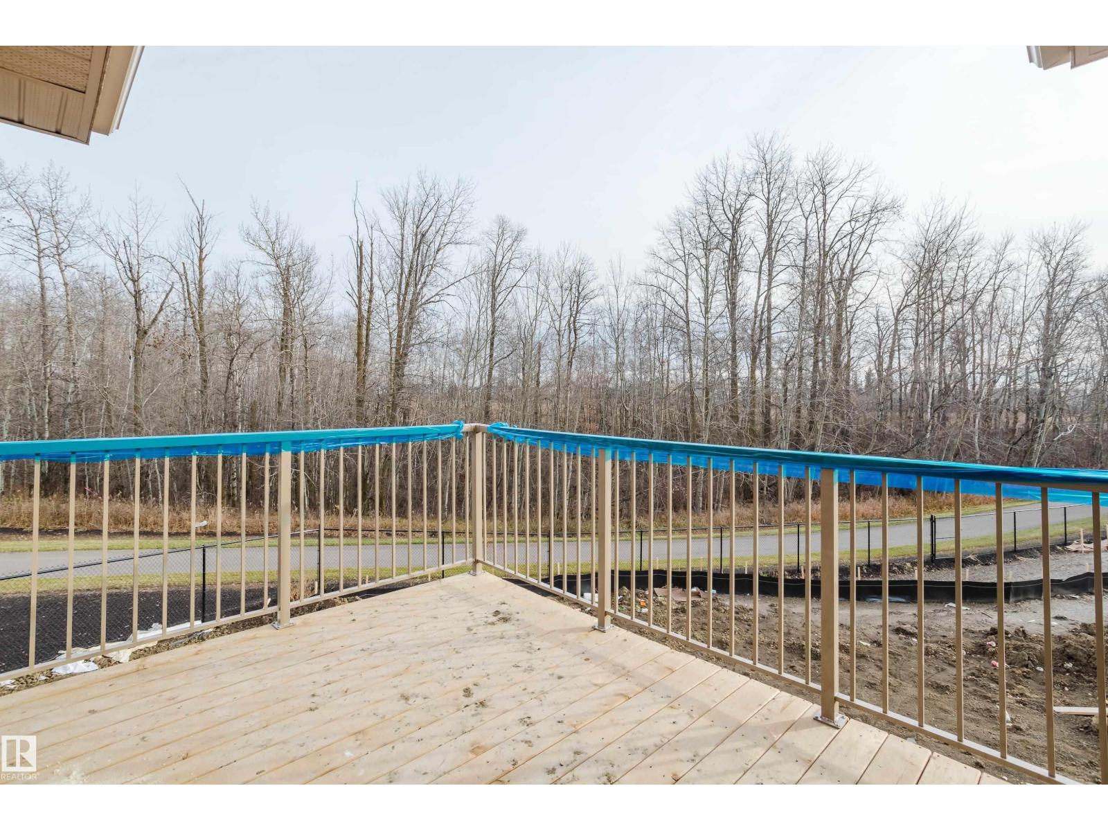 713 Elderberry Cl Nw, Edmonton, Alberta  T6M 3J6 - Photo 22 - E4465821