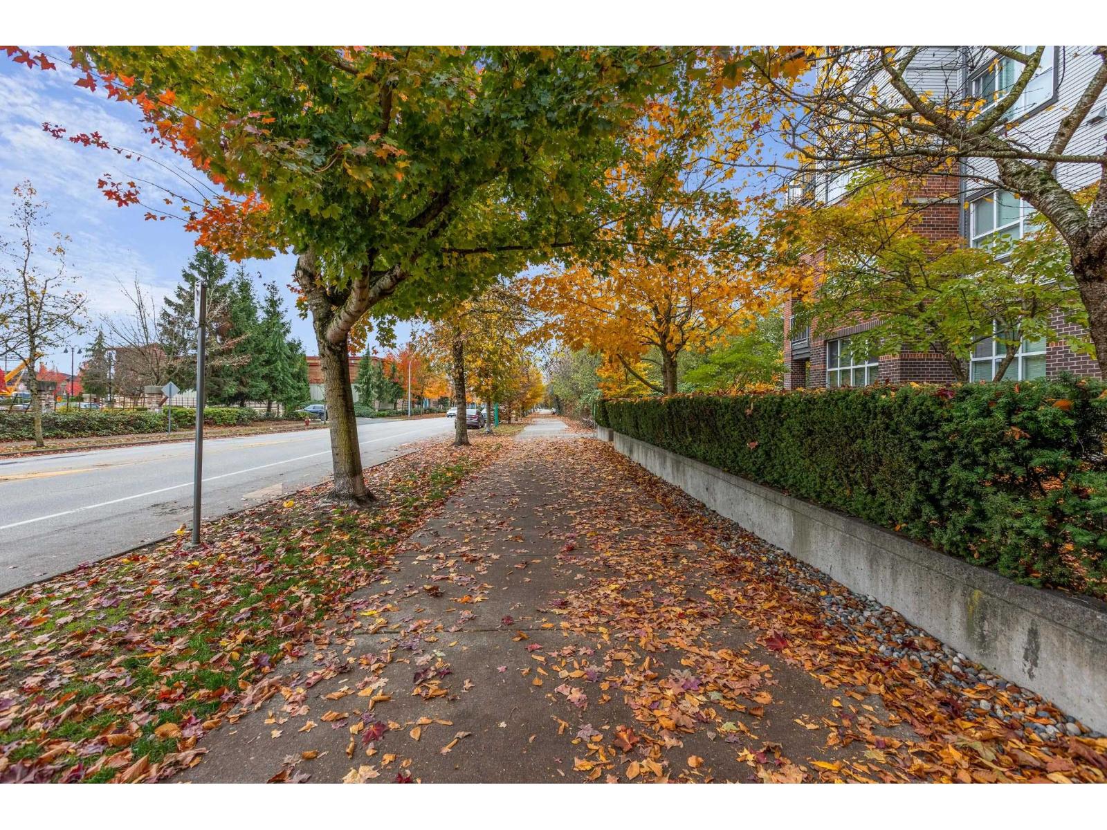 401 18755 68 Avenue, Surrey, British Columbia  V4N 0Z9 - Photo 25 - R3067506