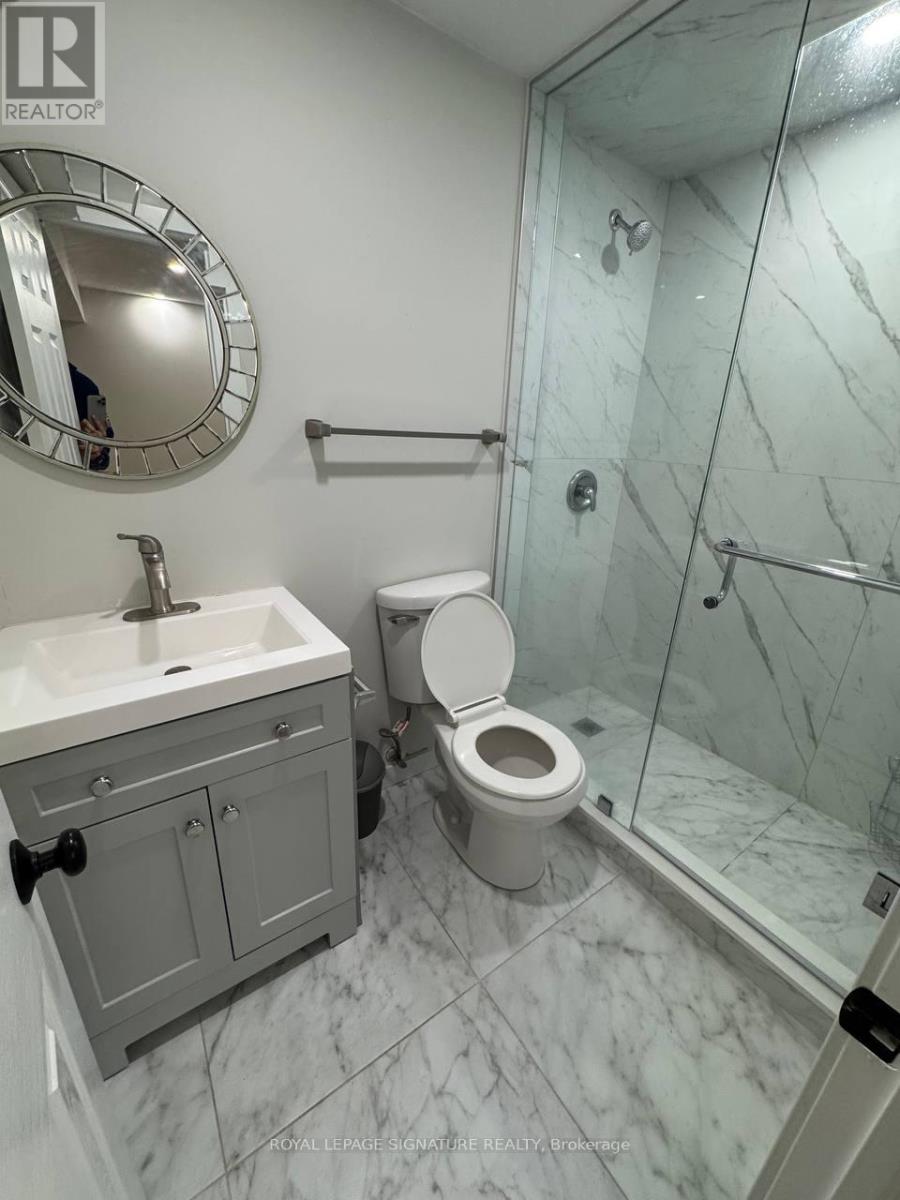 Basement - 160 Bristol Road, Newmarket, Ontario  L3Y 7W9 - Photo 7 - N12547564