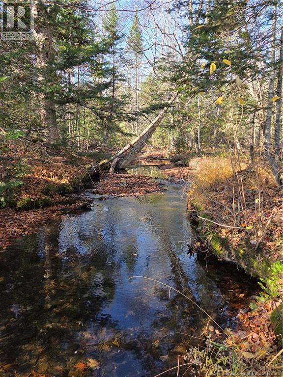 141 Grub Road, Middle Hainesville, New Brunswick  E6E 1B3 - Photo 36 - NB129378