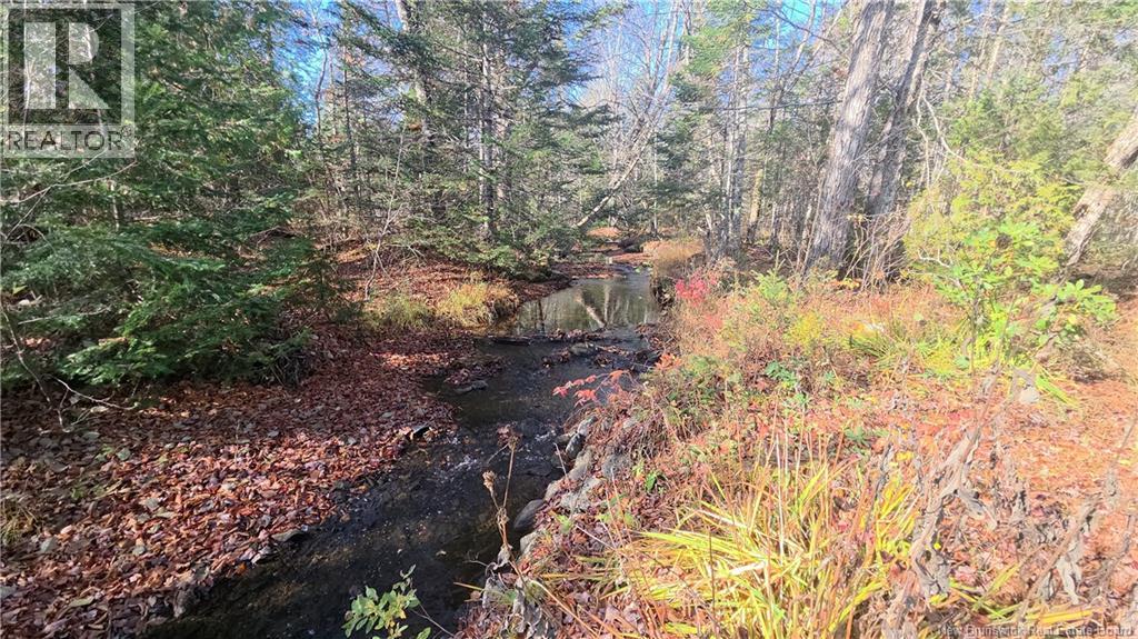 141 Grub Road, Middle Hainesville, New Brunswick  E6E 1B3 - Photo 35 - NB129378